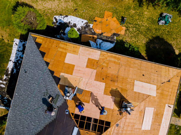 Best Roof Restoration Services  in Potomac Park, CA